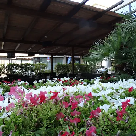 Hotel Toscana Ambassador 4*